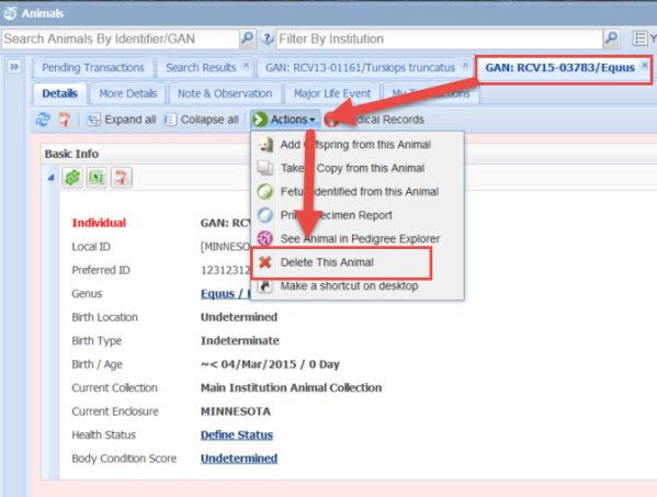 Animals-Delete-1.jpg