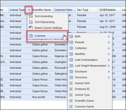 Table

Description automatically generated