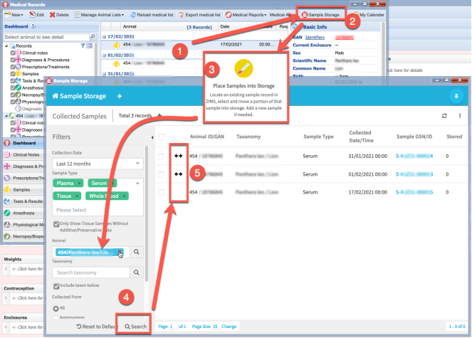 Graphical user interface, application, Word

Description automatically generated